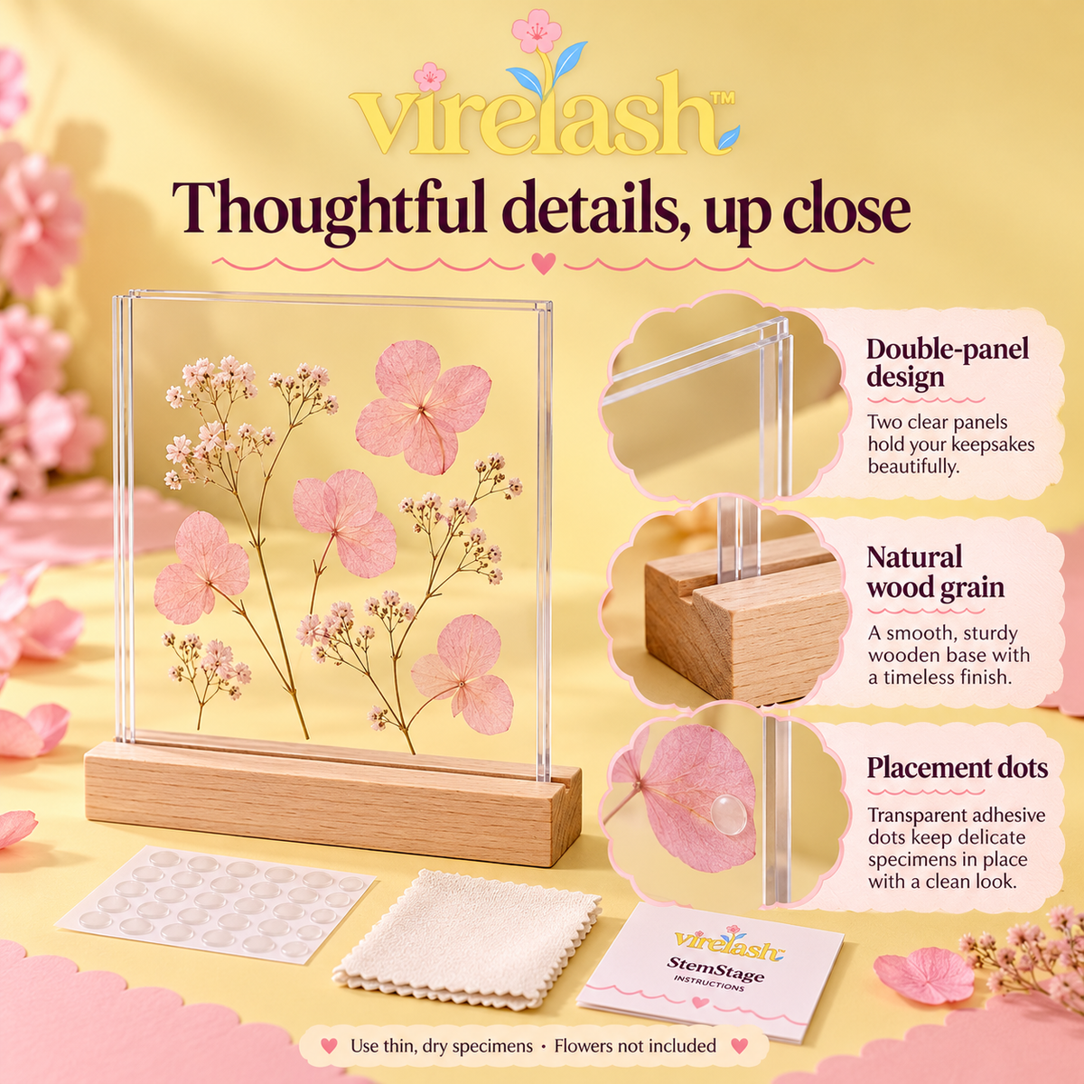 virelash™ StemStage Acrylic Botanical Display — 6 × 8-Inch Double-Panel Pressed Flower Frame with Wooden Tabletop Base